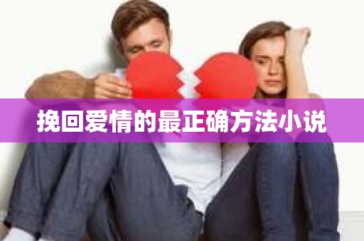 挽回爱情的最正确方法小说