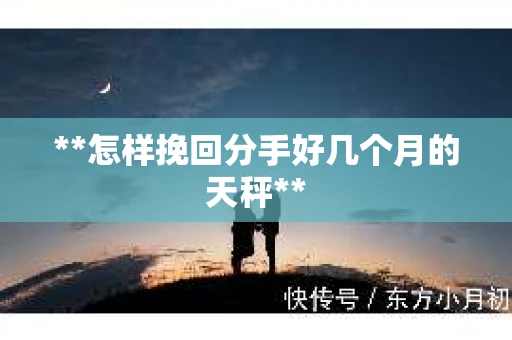 **怎样挽回分手好几个月的天秤**
