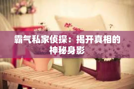 霸气私家侦探：揭开真相的神秘身影