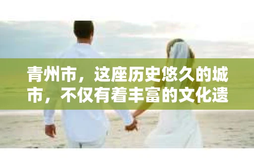 青州市，这座历史悠久的城市，不仅有着丰富的文化遗产，也有着现代生活的便捷。那么，问题来了——青州市有私家侦探公司吗？这个问题，对于需要侦探服务的人来说，无疑至关重要。接下来，我就来为大家揭开这个谜底。