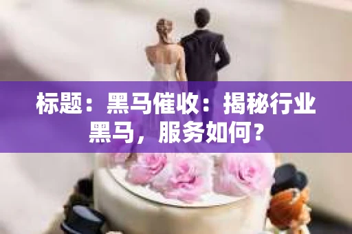 标题：黑马催收：揭秘行业黑马，服务如何？