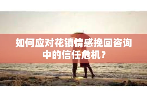 如何应对花镇情感挽回咨询中的信任危机？
