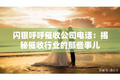 闪银呼呼催收公司电话：揭秘催收行业的那些事儿
