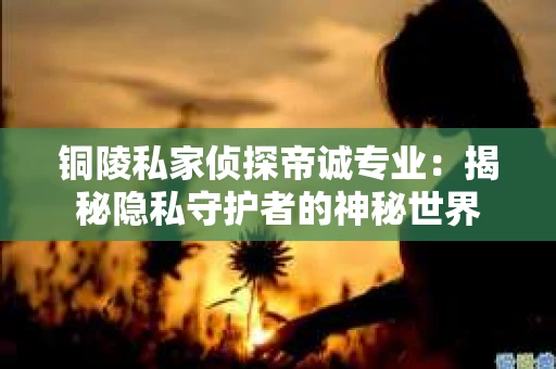 铜陵私家侦探帝诚专业：揭秘隐私守护者的神秘世界