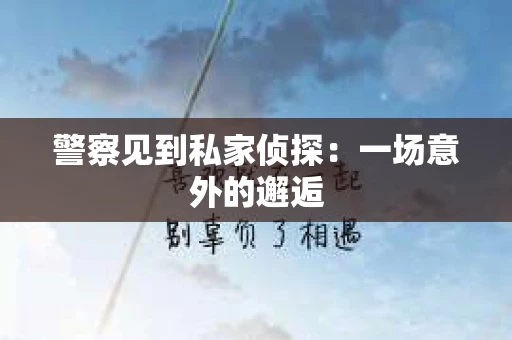 警察见到私家侦探：一场意外的邂逅