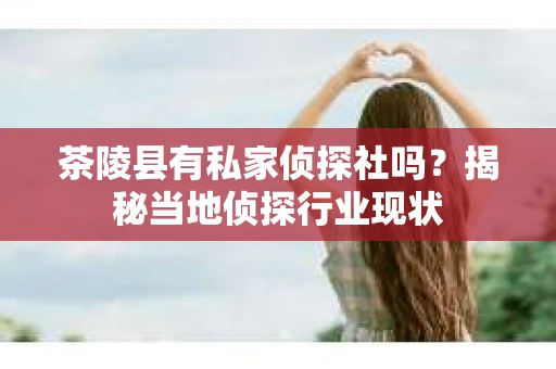 茶陵县有私家侦探社吗？揭秘当地侦探行业现状