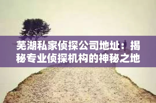 芜湖私家侦探公司地址：揭秘专业侦探机构的神秘之地