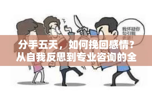 分手五天，如何挽回感情？从自我反思到专业咨询的全面解决方案