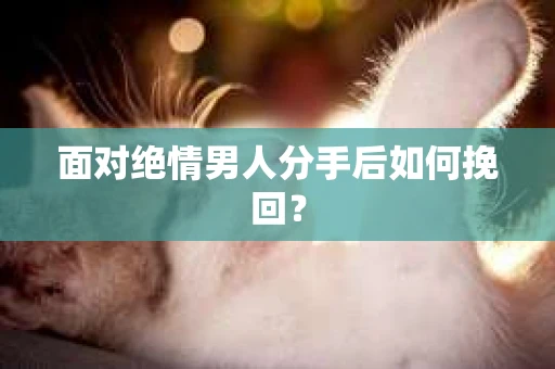 面对绝情男人分手后如何挽回？