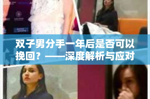 双子男分手一年后是否可以挽回？——深度解析与应对策略