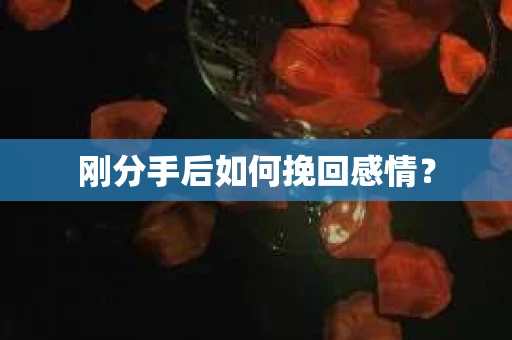 刚分手后如何挽回感情？